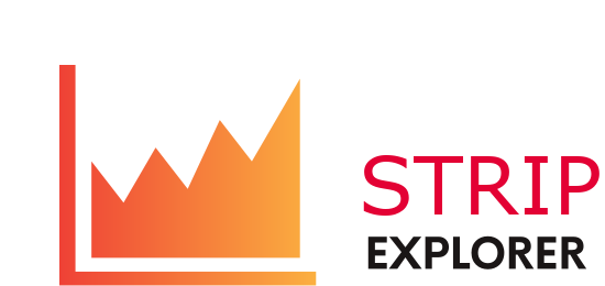 Stripchat Explorer Logo